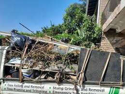 Best Recycling Services for Junk  in Demarest, NJ